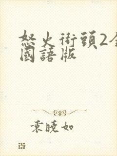 怒火街头2全集国语版