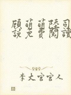 顾萌萌陆司宸小说免费阅读