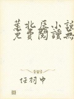 叶北辰小说全文免费阅读无弹窗最新章节封面