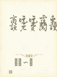 商晚晚霍东铭小说免费阅读笔趣阁