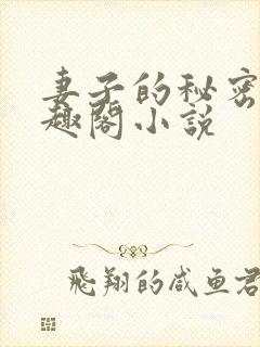 妻子的秘密 笔趣阁小说封面