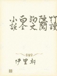 小白狗陈竹岚小说全文阅读免费