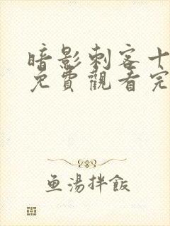 暗影刺客十二季免费观看完整版封面