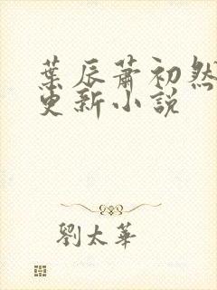 叶辰萧初然免费更新小说