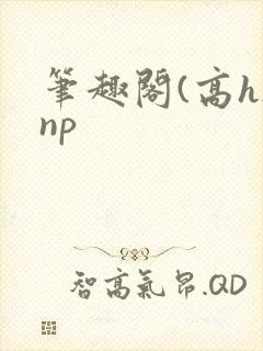 笔趣阁(高h)np