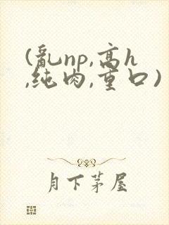 (乱np,高h,纯肉,重口)