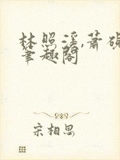 林照溪,萧砚川笔趣阁