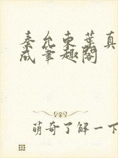 秦允东叶真章高成笔趣阁