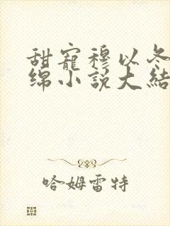 甜宠穆以冬叶绵绵小说大结局封面