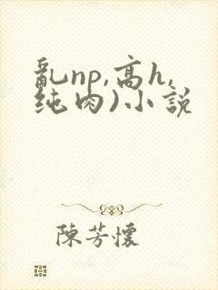 乱np,高h,纯肉)小说
