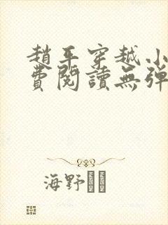 赵平穿越小说免费阅读无弹窗