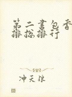 第二书包香辣肉排总排行