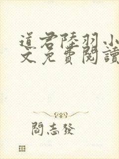 道君陆羽小说全文免费阅读