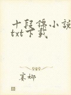 十段锦小说全本txt下载