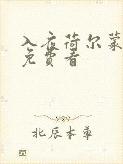 入夜荷尔蒙电影免费看