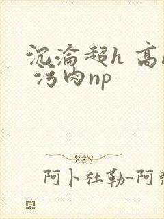 沉沦超h 高h 污肉np