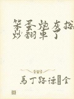 笨蛋炮灰总被爆炒翻车了