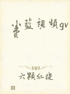 小蓝视频gv免费