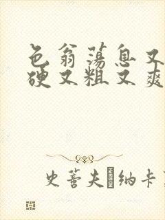 色翁荡息又大又硬又粗又爽小莹