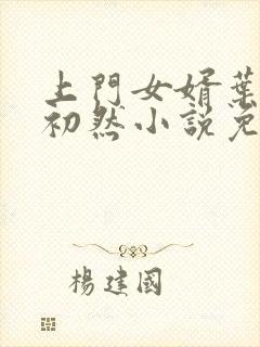 上门女婿叶辰萧初然小说免费读