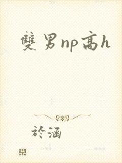 双男np高h
