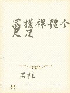 国模裸体全部大尺度