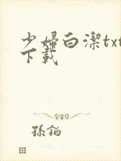少妇白洁txt下载