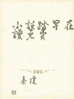 小说踏星在线阅读免费