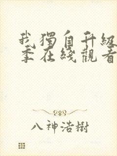 我独自升级第二季在线观看全集