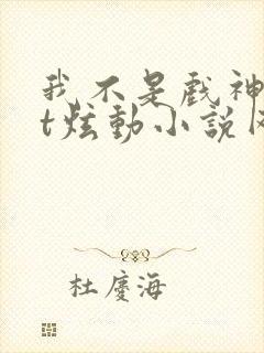 我不是戏神txt炫动小说网封面