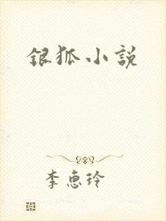银狐小说