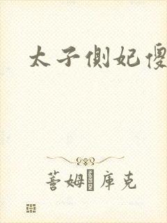 太子侧妃傻乎乎封面