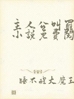 主人公叫罗铮的小说免费阅读笔趣阁