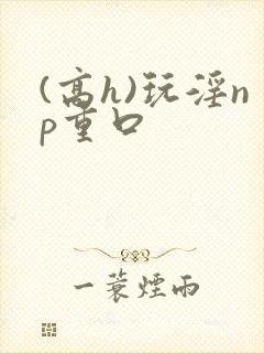 (高h)玩淫np重口