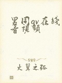 男同gv在线观看视频