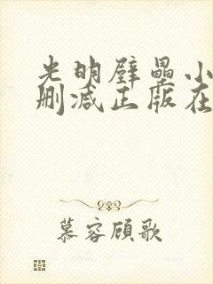 光明壁垒小说无删减正版在线阅读封面