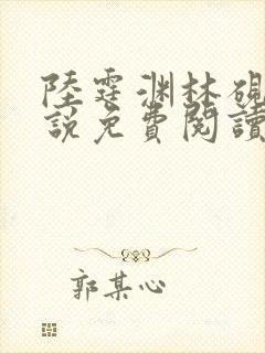 陆霆渊林砚秋小说免费阅读最新章节列表封面