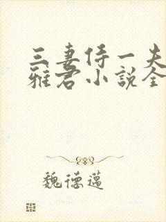 三妻侍一夫柔佳雅君小说全文阅读