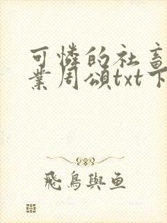 可怜的社畜 商业周颂txt下载