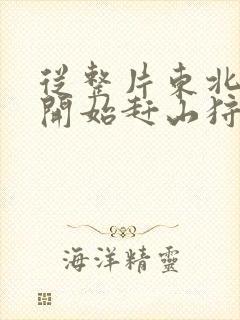 从整片东北林区开始赶山狩猎笔趣阁封面