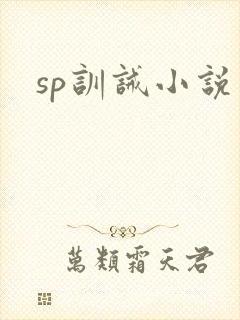 sp训诫小说封面