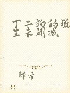 丁二狗的猎艳人生未删减