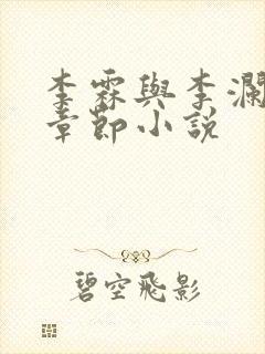 李霖与李澜最新章节小说