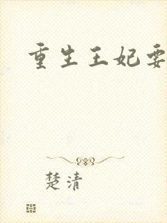 重生王妃要和离