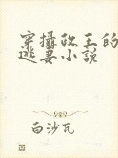 穿摄政王的侍爱逃妻小说封面
