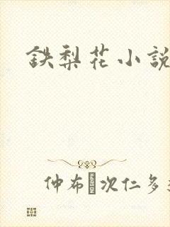 铁梨花小说