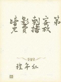 暗影刺客第八季免费播放