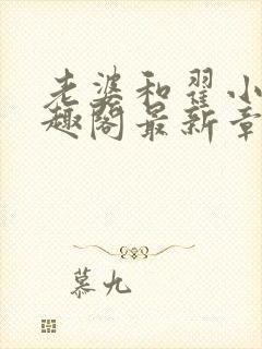 老婆和翟小说笔趣阁最新章节列表