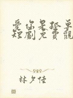 爱你是孤单心事短剧免费观看全集高清