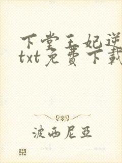 下堂王妃逆袭记txt免费下载